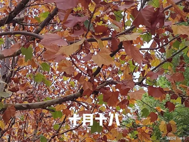 八最“旺”自己的4件事别忘了告诉家人PG电子麻将胡了不是迷信！明日十月十(图2)