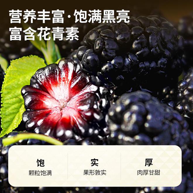 素”的食物第一名是它！你有经常吃吗？麻将胡了2模拟器试玩8种含有“花青(图6)